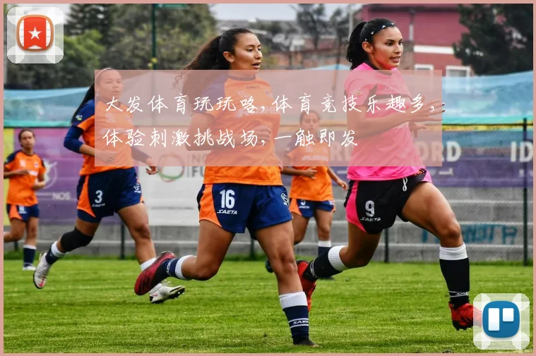 大发体育玩玩咯,体育竞技乐趣多,体验刺激挑战场,一触即发