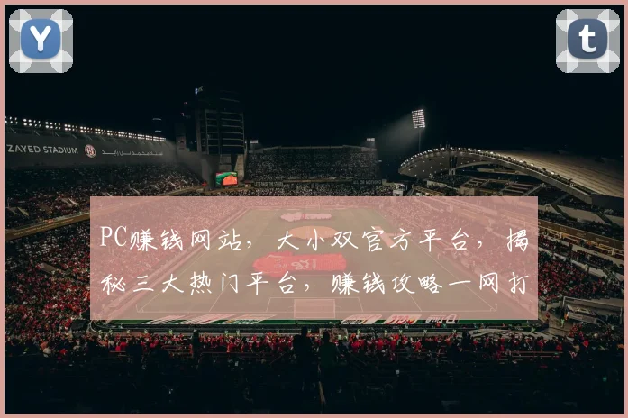 PC赚钱网站，大小双官方平台，揭秘三大热门平台，赚钱攻略一网打尽，不容错过