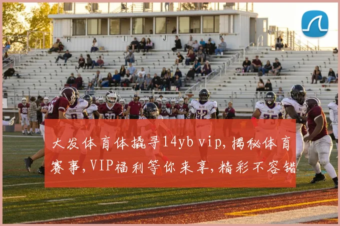 大发体育体撬寻14yb vip,揭秘体育赛事,VIP福利等你来享,精彩不容错过,速来参与