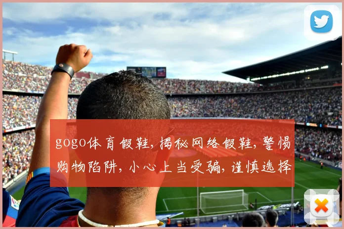 gogo体育假鞋,揭秘网络假鞋,警惕购物陷阱,小心上当受骗,谨慎选择